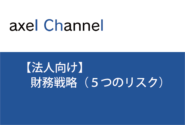 新しい財務戦略コンテンツ　財務戦略(５つのリスク)